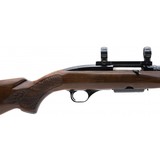 "Winchester 100 .243 Win (W11958)" - 5 of 5