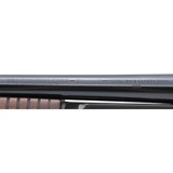 "Winchester 12 Pre-64 12 Gauge (W11968)" - 6 of 6