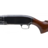 "Winchester 12 Pre-64 12 Gauge (W11969)" - 6 of 6