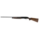 "Winchester 1200 20 Gauge (W12096)" - 4 of 6