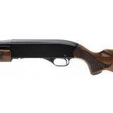 "Winchester 1200 20 Gauge (W12096)" - 3 of 6