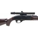 "Remington Nylon 66 .22LR (R38096)" - 4 of 4