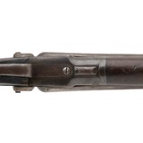 "Colt 1878 10 Gauge Shotgun (AC457)" - 4 of 8