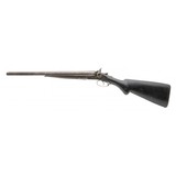 "Colt 1878 10 Gauge Shotgun (AC457)" - 7 of 8