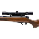 "Remington 660 .243 Win (R38487)" - 3 of 4