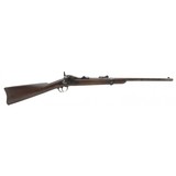 "U.S. Springfield Model 1877 trapdoor Carbine .45-70 (AL8028)" - 1 of 9