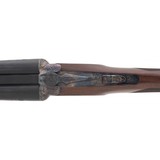 "CZ Project Upland Bob White 12 Gauge (NGZ2804) NEW" - 3 of 6