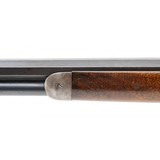 "Winchester 1894 Rifle 38-55 (W12278)" - 7 of 11