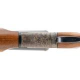 "Savage Fox B-SE 12 Gauge (S14859)" - 2 of 5