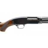 "Beautiful Winchester Model 42 Deluxe Skeet (W12292)" - 6 of 6