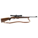 "Winchester Model 100 .243 Win (W12490)" - 1 of 5