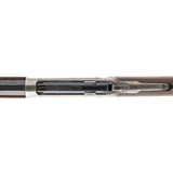 "Case Hardened Winchester 1886 Rifle (AW354)" - 6 of 7