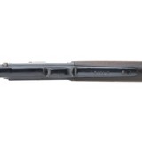 "Colt Lightning Mag Rifle .38-40 WIN (AC650)" - 7 of 7