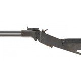 "Springfield Armory M6 Survival Rifle .22 Hornet .410 (R38842)" - 2 of 4