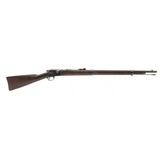 "Winchester Hotchkiss Model 1883 .45-70 (AW357)" - 1 of 10