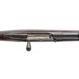 "U.S. Model 1882 Chaffee-Reese by Springfield 45-70 (AL8150)" - 5 of 6