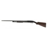 "Winchester 12 Shotgun 12 Gauge (W12633)" - 5 of 5