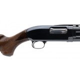 "Winchester 12 Shotgun 20 Gauge (W12509) Consignment" - 3 of 7