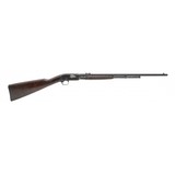 "Remington 12-A .22S, L, LR (R39604)"