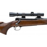 "Winchester 70 Pre-64 .30-06 (W11912)" - 3 of 5