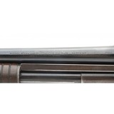 "Winchester 12 Pre-war 16 Gauge (W11909)" - 3 of 6