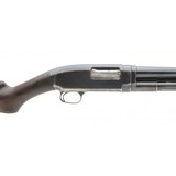 "Winchester 12 Pre-war 16 Gauge (W11909)" - 6 of 6