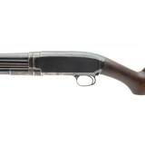 "Winchester 12 Pre-war 16 Gauge (W11909)" - 4 of 6