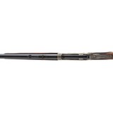 "Winchester 1886 Deluxe Rifle (AW901)" - 5 of 10