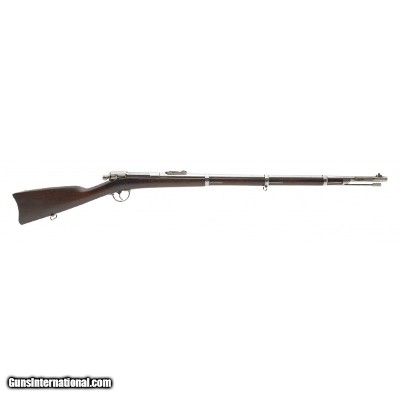 "Rare Remington Burton Model 1868 single shot rifle .45 bottleneck (AL9618) DTX"