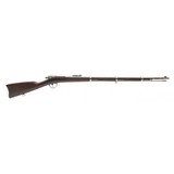 "Rare Remington Burton Model 1868 single shot rifle .45 bottleneck (AL9618)"