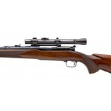 "Winchester 70 Rifle Pre 64 .220 Swift (W12555)" - 3 of 5