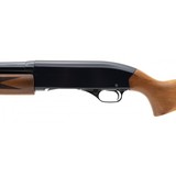 "Winchester 1200 12 Gauge (W12570) Consignment" - 4 of 6