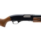 "Winchester 1200 12 Gauge (W12570) Consignment" - 6 of 6