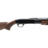 "Browning BPS Field Shotgun 20 Gauge (NGZ3676) NEW" - 5 of 5