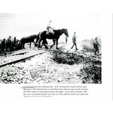 "Nickel Webley W.S. Target Model .455 (PR63819)(CONSIGNMENT)" - 3 of 11