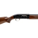 "Winchester Model 59 Win-lite (W12669)" - 5 of 5