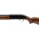 "Winchester Model 59 Win-lite (W12669)" - 3 of 5