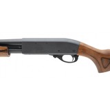 "Remington 870 Shotgun 20 Gauge (S15551)" - 3 of 5