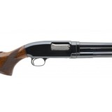 "Winchester 12 Shotgun 16 Gauge (W12685)" - 4 of 4