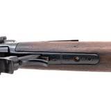 "Winchester 1895 Rifle 30-06 (W12655)" - 5 of 6