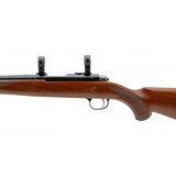 "Ruger 77/17 Rifle .17 HMR (R40256) ATX" - 2 of 4