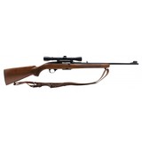 "Winchester 100 Rifle .243 Winchester (W12749)" - 1 of 5