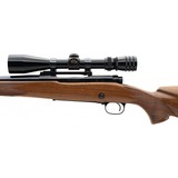 "Winchester 70 Rifle 30-06SPRG (W12760)" - 4 of 5