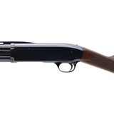 "Browning BPS Upland Shotgun 20 Gauge (S14909) Consignment" - 4 of 4