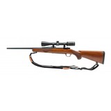 "Ruger M77 Mark II Youth .243 Win Rifle (R40503)" - 3 of 4