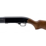 "Winchester Defender 20 Gauge Shotgun (W12928)" - 2 of 4