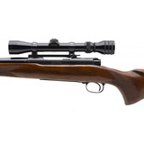 "Winchester 70 Pre 64 Rifle 270 WIN (W12937)" - 2 of 5