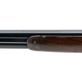 "Winchester Pre-War 94 Rifle 38-55 (W12950)" - 5 of 8