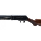 "Montgomery Ward Western Field Shotgun 12 Gauge (S15695)" - 2 of 4