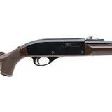 "Remington Nylon 66 Rifle .22lr (R40742)" - 5 of 5